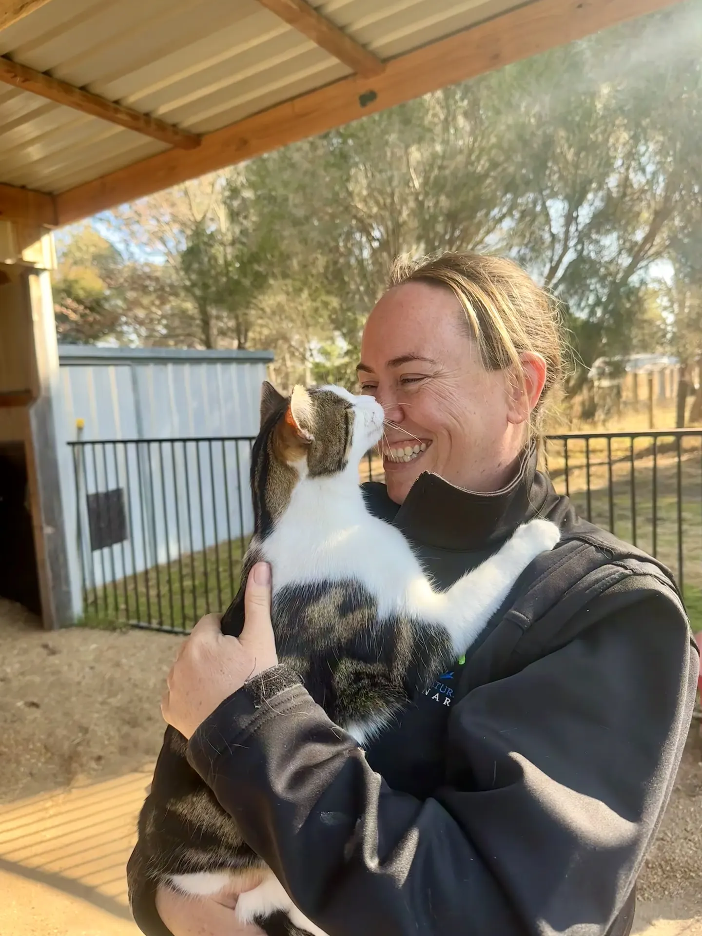 Dr Jacqui Mills with a cat patient