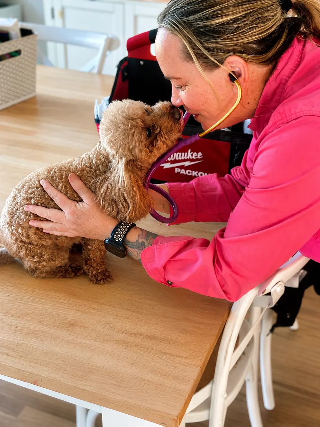 Comprehensive Home Veterinary Consultations